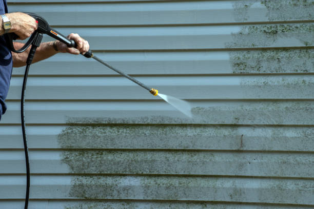 Best Animal Enclosure Cleaning  in Vinton, VA